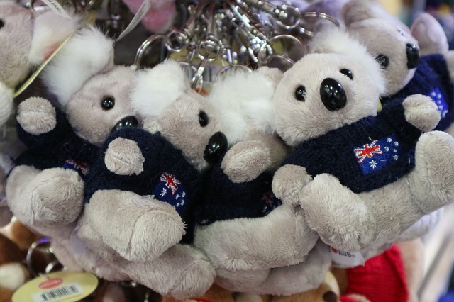 koala