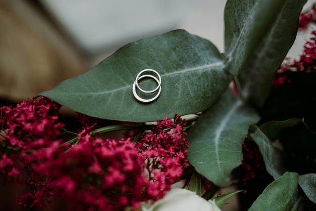 precious-beautiful-engagement-silver-rings-put-flower-leaf_181624-25715